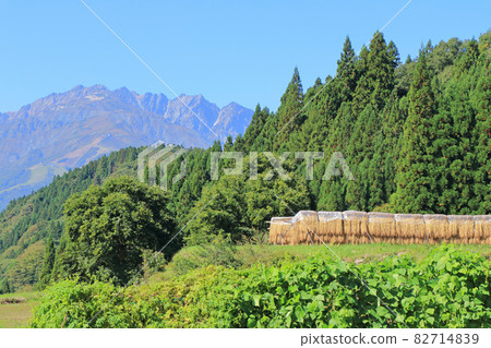Hakuba Village Aoni Autumn Rice Terraces and the Northern Alps 82714839