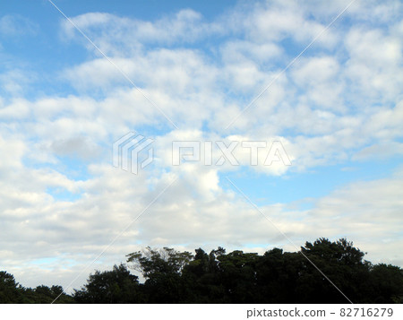 Blue sky and white clouds at Sanyo Medea Flower Museum in Autumn 82716279