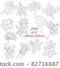 Sketch of set Adenium Obesum flower on white background 82716887