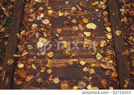 Autumn Leaves on a wooden background. Pathway 82718103