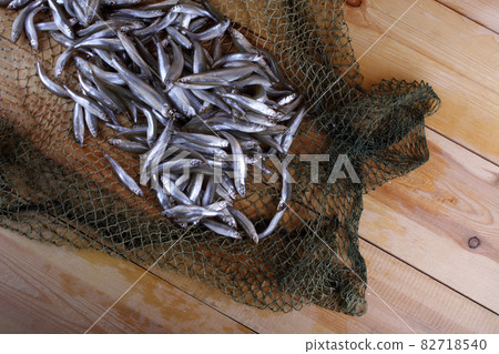 Smelt fishes on net (Pacific little smelt) Smelt fishes on net (Pacific little smelt) 82718540