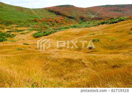 Mt. Kurikoma (Mt. Sugawa), one of the 100 famous mountains of flowers known for the most beautiful mountain autumn leaves in Japan Mt. Kurikoma (Mt. Sugawa), one of the 100 famous mountains of flowers known for the most beautiful mountain autumn leaves in Japan 82719328