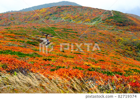 栗駒山（菅川山），百花名山之一，以日本最美麗的山地秋葉而聞名 82719374