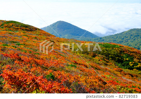 栗駒山（菅川山），百花名山之一，以日本最美麗的山地秋葉而聞名 82719383
