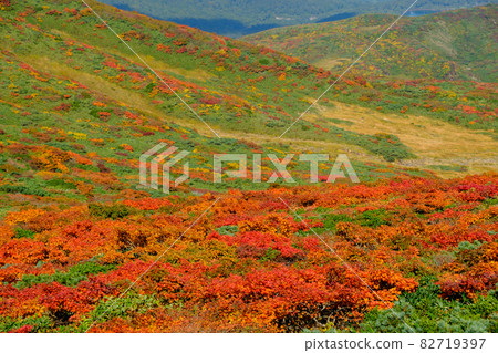 栗駒山(菅川山),百花名山之一,以日本最美麗的山地秋葉而聞名 栗駒山(菅川山),百花名山之一,以日本最美麗的山地秋葉而聞名 82719397