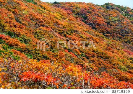 栗駒山（菅川山），百花名山之一，以日本最美麗的山地秋葉而聞名 82719399