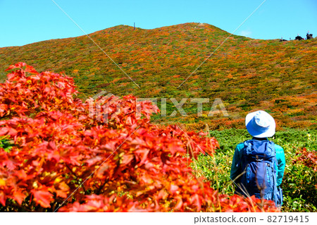 Mt. Kurikoma (Mt. Sugawa), one of the 100 famous mountains of flowers known for the most beautiful mountain autumn leaves in Japan Mt. Kurikoma (Mt. Sugawa), one of the 100 famous mountains of flowers known for the most beautiful mountain autumn leaves in Japan 82719415