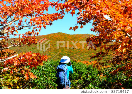 Mt. Kurikoma (Mt. Sugawa), one of the 100 famous mountains of flowers known for the most beautiful mountain autumn leaves in Japan 82719417