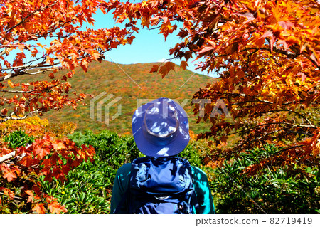 Mt. Kurikoma (Mt. Sugawa), one of the 100 famous mountains of flowers known for the most beautiful mountain autumn leaves in Japan Mt. Kurikoma (Mt. Sugawa), one of the 100 famous mountains of flowers known for the most beautiful mountain autumn leaves in Japan 82719419