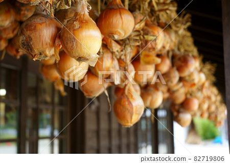 Onions hung under the eaves 82719806