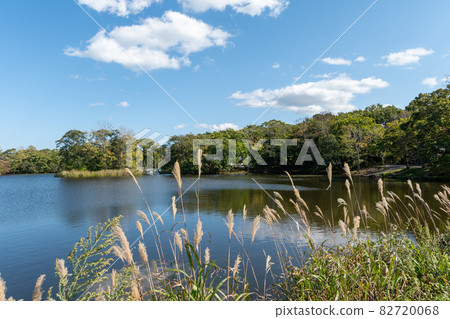 Onuma_Lake_Nakajima_Blue Sky_Hakodate_New Three Views of Japan Onuma_Lake_Nakajima_Blue Sky_Hakodate_New Three Views of Japan 82720068
