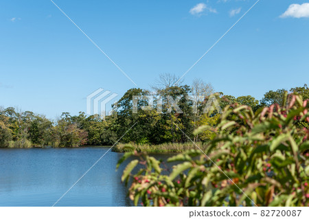Onuma_Lake_Nakajima_Blue Sky_Hakodate_New Three Views of Japan Onuma_Lake_Nakajima_Blue Sky_Hakodate_New Three Views of Japan 82720087