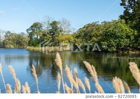 Onuma_Lake_Nakajima_Blue Sky_Hakodate_New Three Views of Japan 82720095