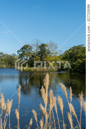 Onuma_Lake_Nakajima_Blue Sky_Hakodate_New Three Views of Japan 82720096