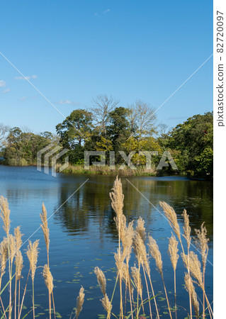 Onuma_Lake_Nakajima_Blue Sky_Hakodate_New Three Views of Japan 82720097