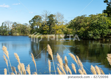 Onuma_Lake_Nakajima_Blue Sky_Hakodate_New Three Views of Japan 82720098