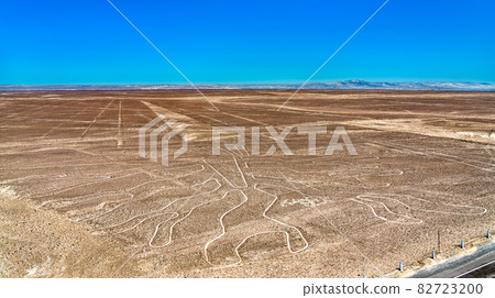 The Tree figure at Nazca in Peru 82723200