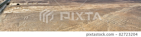 The Lizard figure at Nazca in Peru The Lizard figure at Nazca in Peru 82723204