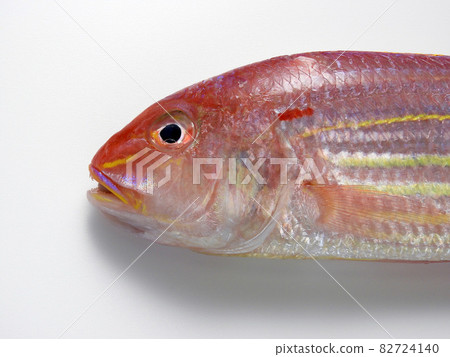 Threadfin bream 82724140