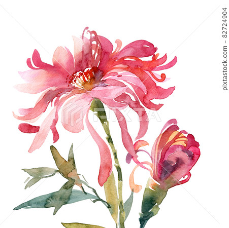 Watercolor chrysanthemum bouquet Watercolor chrysanthemum bouquet 82724904