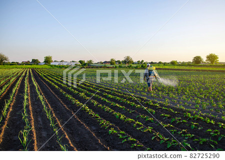 Farmer sprays a potato plantation with a sprayer. Effective crop protection of cultivated plants against insects and fungal. Chemical treatment. Mist sprayer, fungicide and pesticide. Working on field 82725290