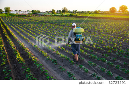 Farmer sprays a potato plantation with a sprayer. Chemical treatment. Mist sprayer, fungicide and pesticide. Effective crop protection of cultivated plants against insects and fungal. Field work Farmer sprays a potato plantation with a sprayer. Chemical treatment. Mist sprayer, fungicide and pesticide. Effective crop protection of cultivated plants against insects and fungal. Field work 82725291