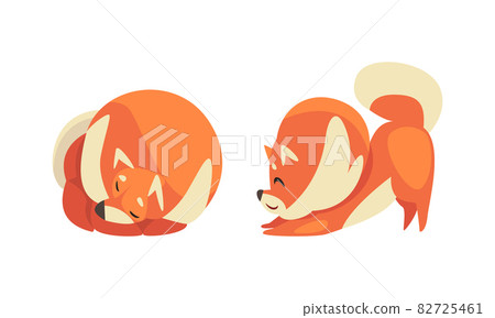 Playful Shiba Inu or Akita Puppy as Japanese Breed Dog with Prick Ears Vector Set Playful Shiba Inu or Akita Puppy as Japanese Breed Dog with Prick Ears Vector Set 82725461