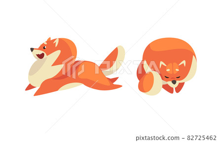 Playful Shiba Inu or Akita Puppy as Japanese Breed Dog with Prick Ears Vector Set Playful Shiba Inu or Akita Puppy as Japanese Breed Dog with Prick Ears Vector Set 82725462