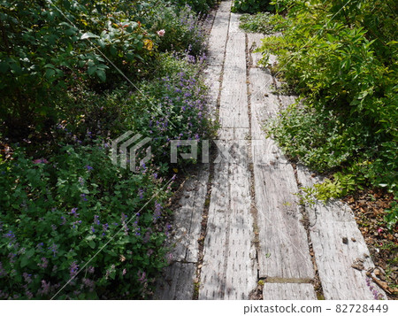 Vertically laid sleepers approach Vertically laid sleepers approach 82728449