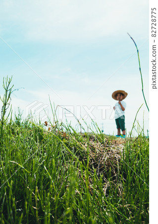 兒童 孩子 小孩 82728775