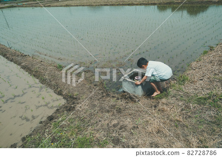 A child washing his feet at the mouth of a rice field 82728786