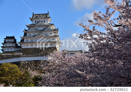 日本兵庫縣姬路市姬路城,世界遺產和國寶,春天的櫻花,藍天和宏偉的城堡塔 日本兵庫縣姬路市姬路城,世界遺產和國寶,春天的櫻花,藍天和宏偉的城堡塔 82729021