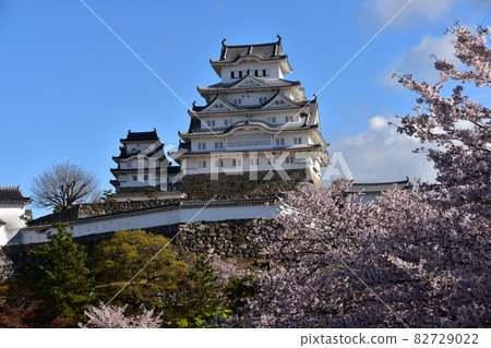 日本兵庫縣姬路市姬路城,世界遺產和國寶,春天的櫻花,藍天和宏偉的城堡塔 日本兵庫縣姬路市姬路城,世界遺產和國寶,春天的櫻花,藍天和宏偉的城堡塔 82729022