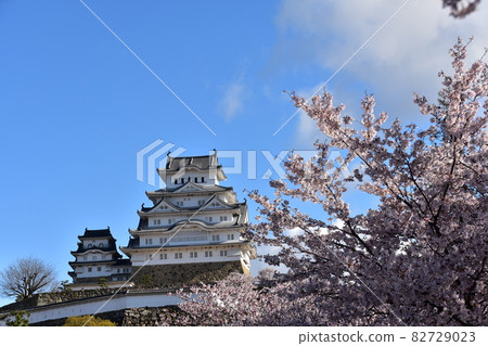 日本兵庫縣姬路市姬路城,世界遺產和國寶,春天的櫻花,藍天和宏偉的城堡塔 日本兵庫縣姬路市姬路城,世界遺產和國寶,春天的櫻花,藍天和宏偉的城堡塔 82729023