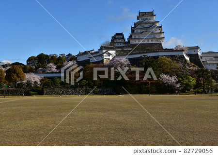 Himeji City, Hyogo Prefecture, Japan Himeji Castle, a World Heritage Site and a national treasure, spring cherry blossoms, blue sky and a magnificent castle tower 82729056