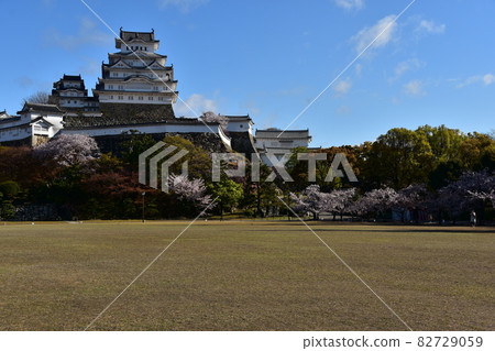 日本兵庫縣姬路市姬路城，世界遺產和國寶，春天的櫻花，藍天和宏偉的城堡塔 82729059
