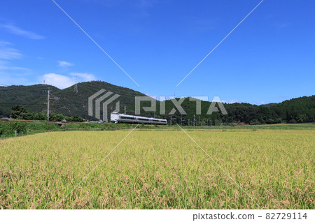 Paddy fields near Sonobe on the San-In Line and Kinosaki Limited Express 82729114