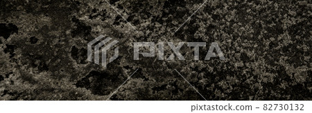 Canada Snowfield Dirty Snow Texture 82730132