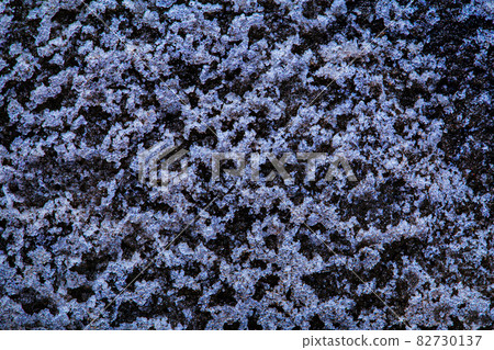 Canada Snowfield Dirty Snow Texture Canada Snowfield Dirty Snow Texture 82730137