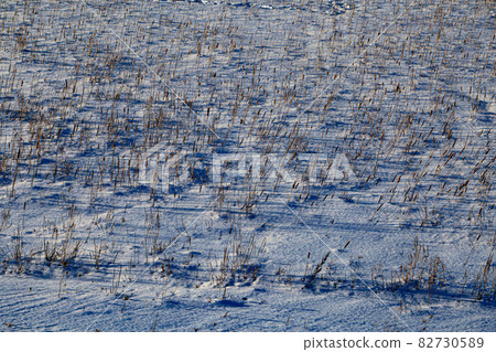 Canada Snowy fields 82730589