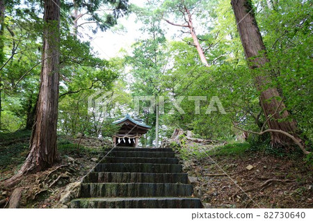 Climb the stone steps in the forest, surrounded by the sacred air, autumn day Climb the stone steps in the forest, surrounded by the sacred air, autumn day 82730640