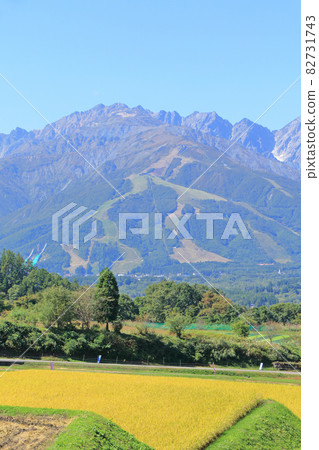 白馬村:從野平眺望北阿爾卑斯的秋天 白馬村:從野平眺望北阿爾卑斯的秋天 82731743