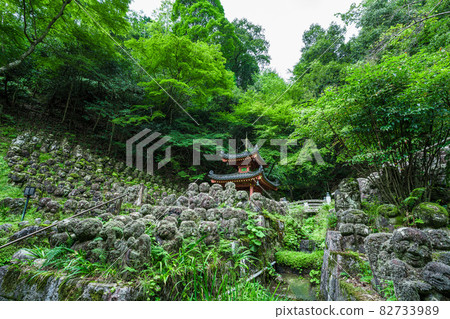 京都府愛宕念佛寺 82733989