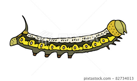 透明的鷹蛾 82734013