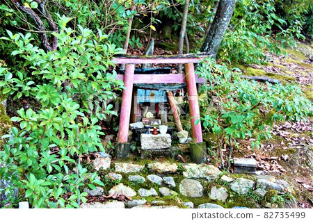 Funaokayama, Kita-ku, Kyoto City, a small inconspicuous torii gate and a white snake that seems to be a god in the forest near the signboard and the stone of the third triangulation point Funaokayama, Kita-ku, Kyoto City, a small inconspicuous torii gate and a white snake that seems to be a god in the forest near the signboard and the stone of the third triangulation point 82735499