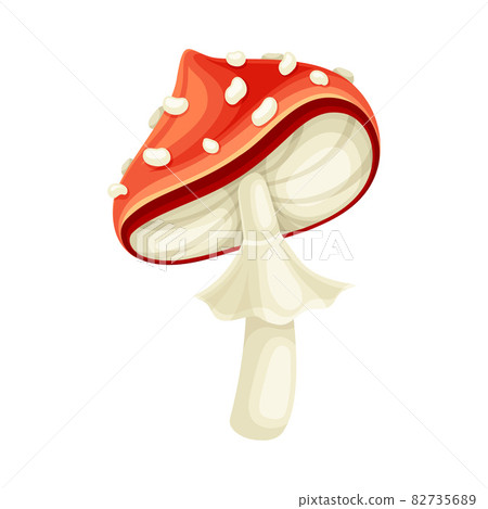 Fly agaric poisonous mushroom with red spotted cap. Amanita toadstool cartoon vector illustration 82735689