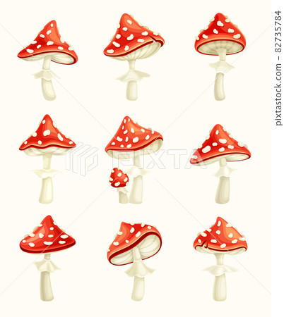 Fly agaric poisonous mushrooms set . Amanita toadstools with red spotted cap cartoon vector illustration Fly agaric poisonous mushrooms set . Amanita toadstools with red spotted cap cartoon vector illustration 82735784