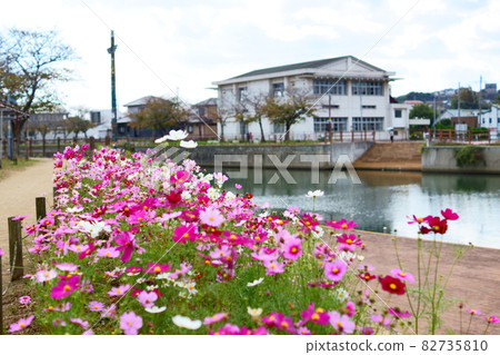 金山川沿岸的宇宙美景 82735810