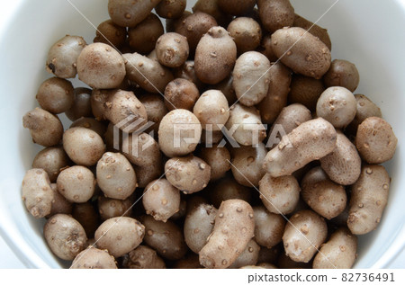 Propagule (Reiko) _ The part where the side buds of yams have accumulated nutrients and have grown _ Ingredients 82736491