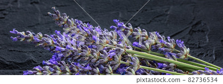 Lavender flower panorama on a black background. Aromatic herb. Lavandula 82736534